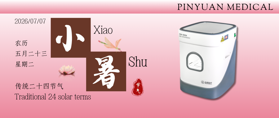 小暑代谢节律与骨骼活跃度的客观关联